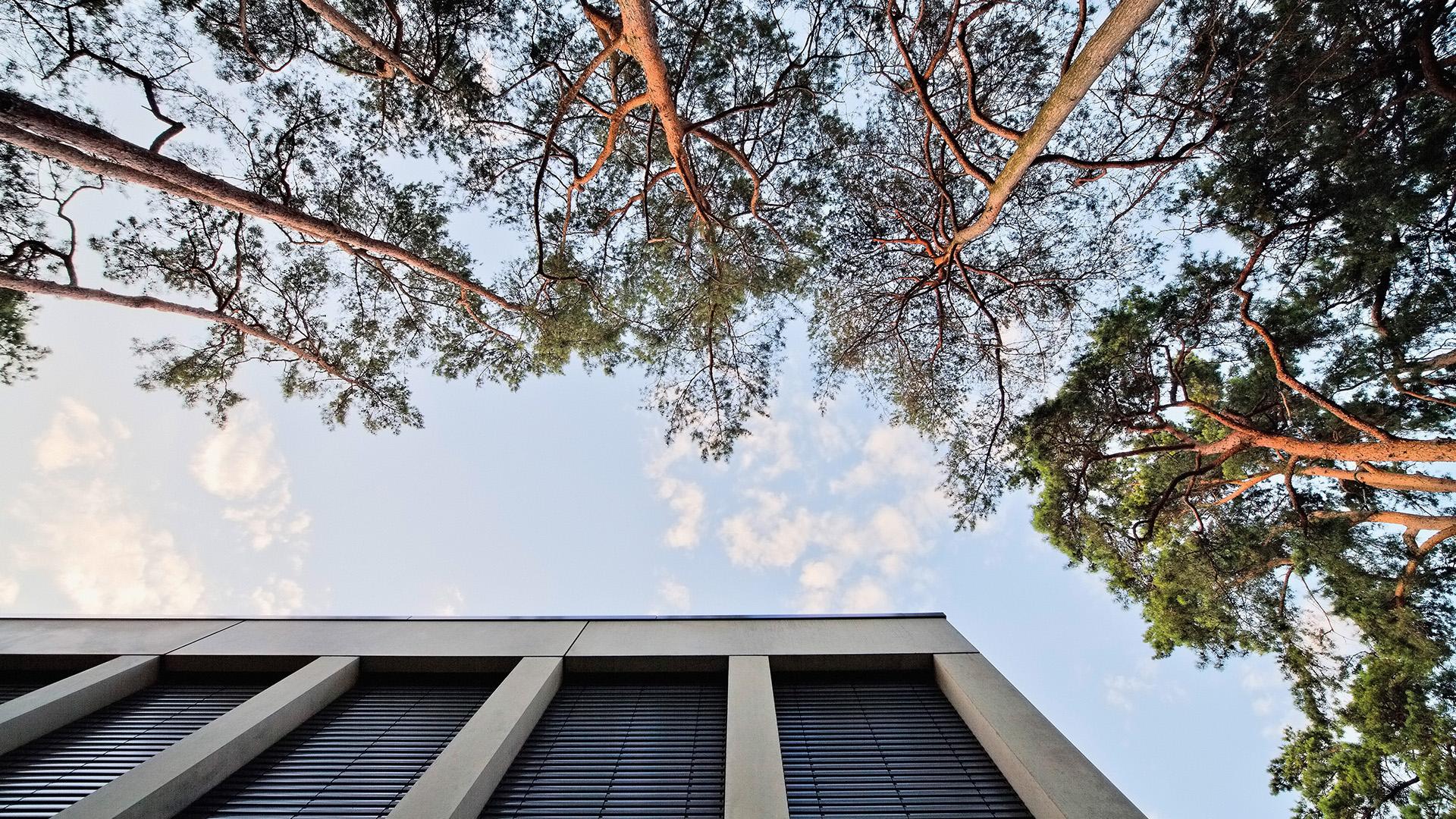 institut der deutschen sporthochschule