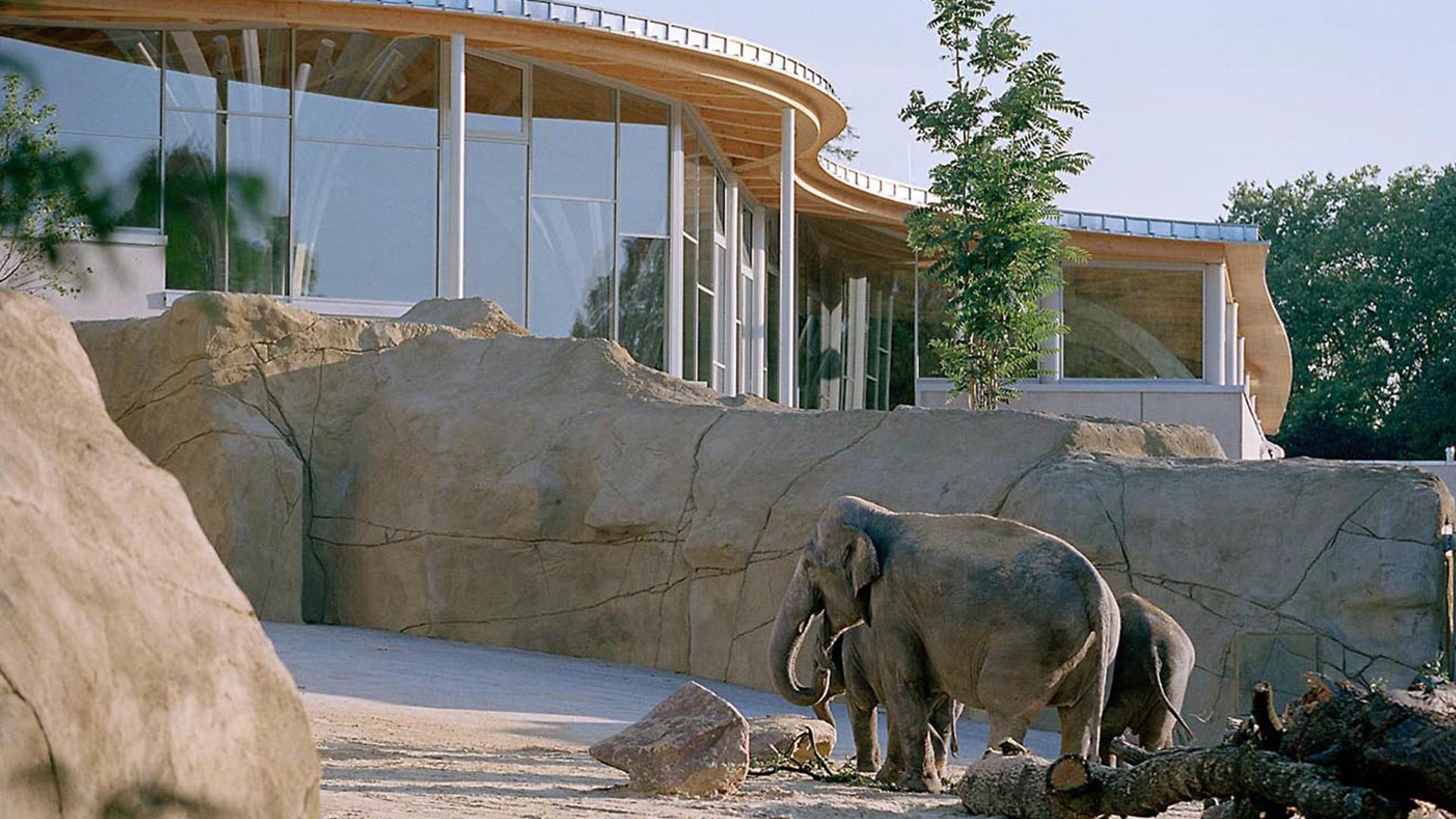 elefantenpark im Kölner Zoo