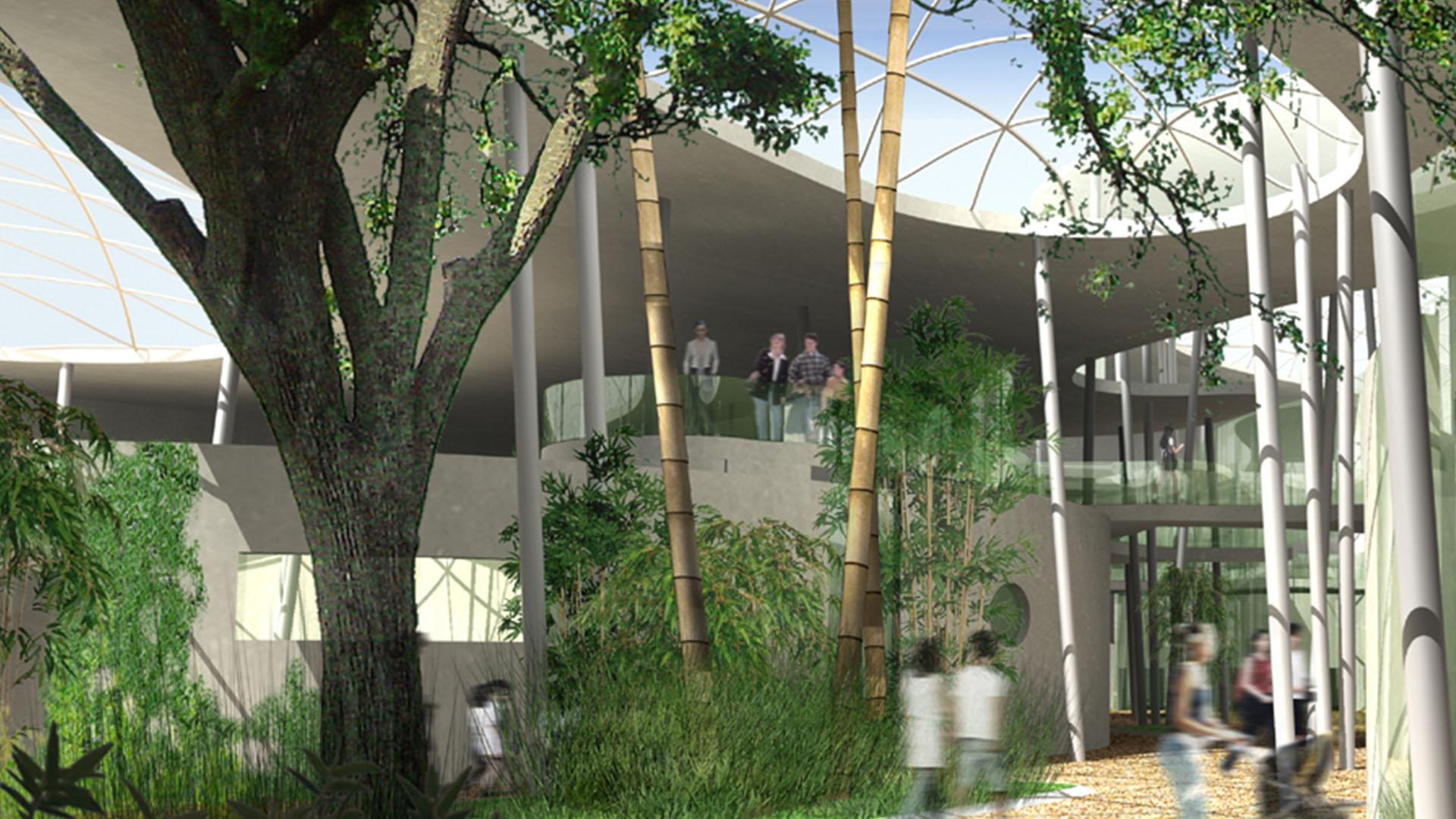 menschenaffenhaus in der wilhelma