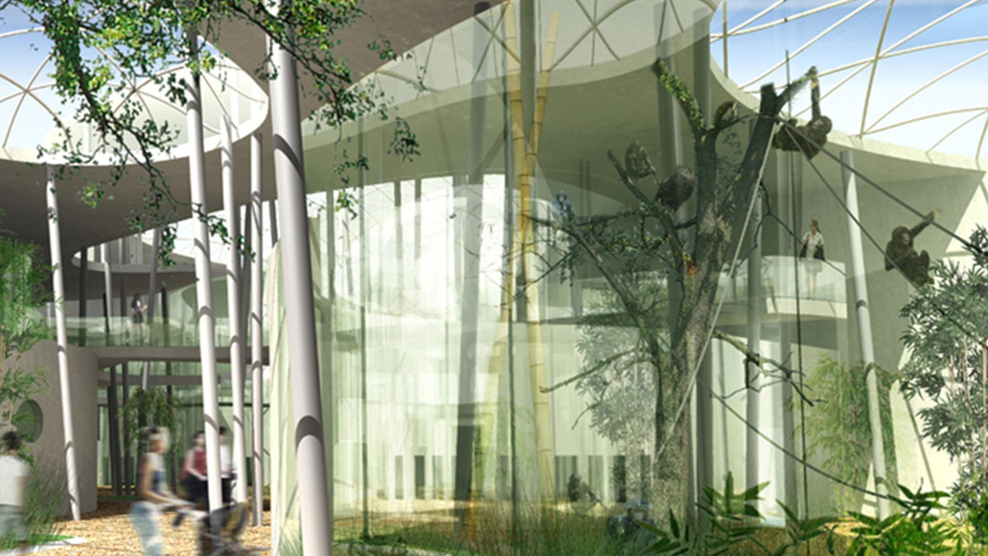 menschenaffenhaus in der wilhelma